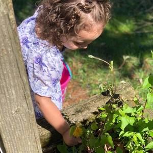 Meet your Posher, Bobbie